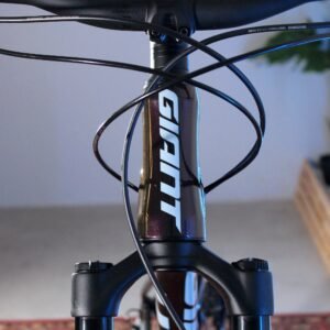 GIANT STANCE 1 - Image 10