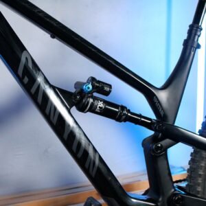 Canyon Spectral CF 29 8 - Image 6