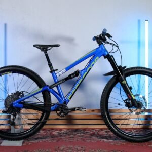 DARTMOOR BLACKBIRD JUNIOR - Image 1