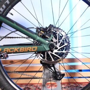 DARTMOOR BLACKBIRD EVO - Image 11